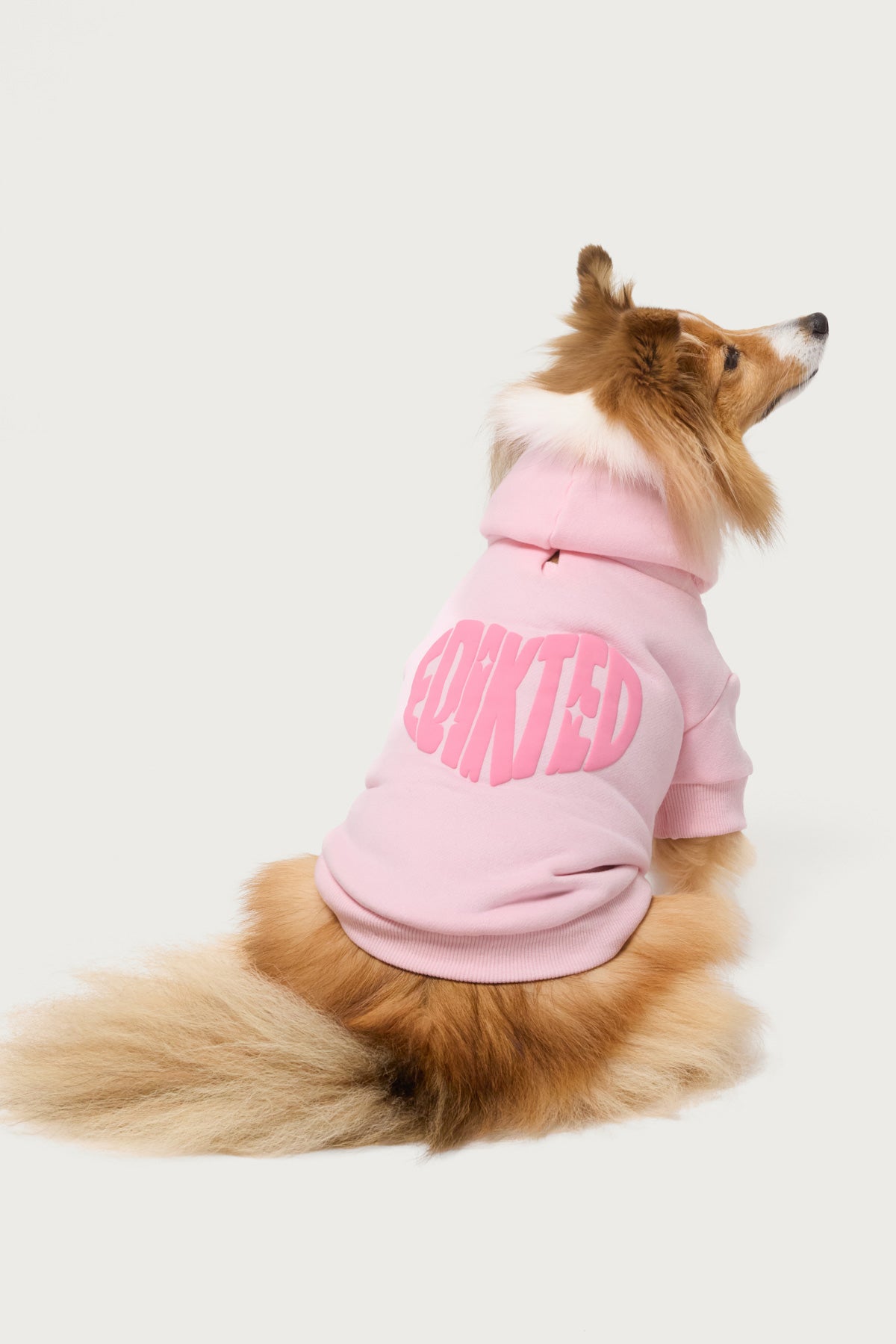 Major Love Edikted Pet Hoodie - Image 2