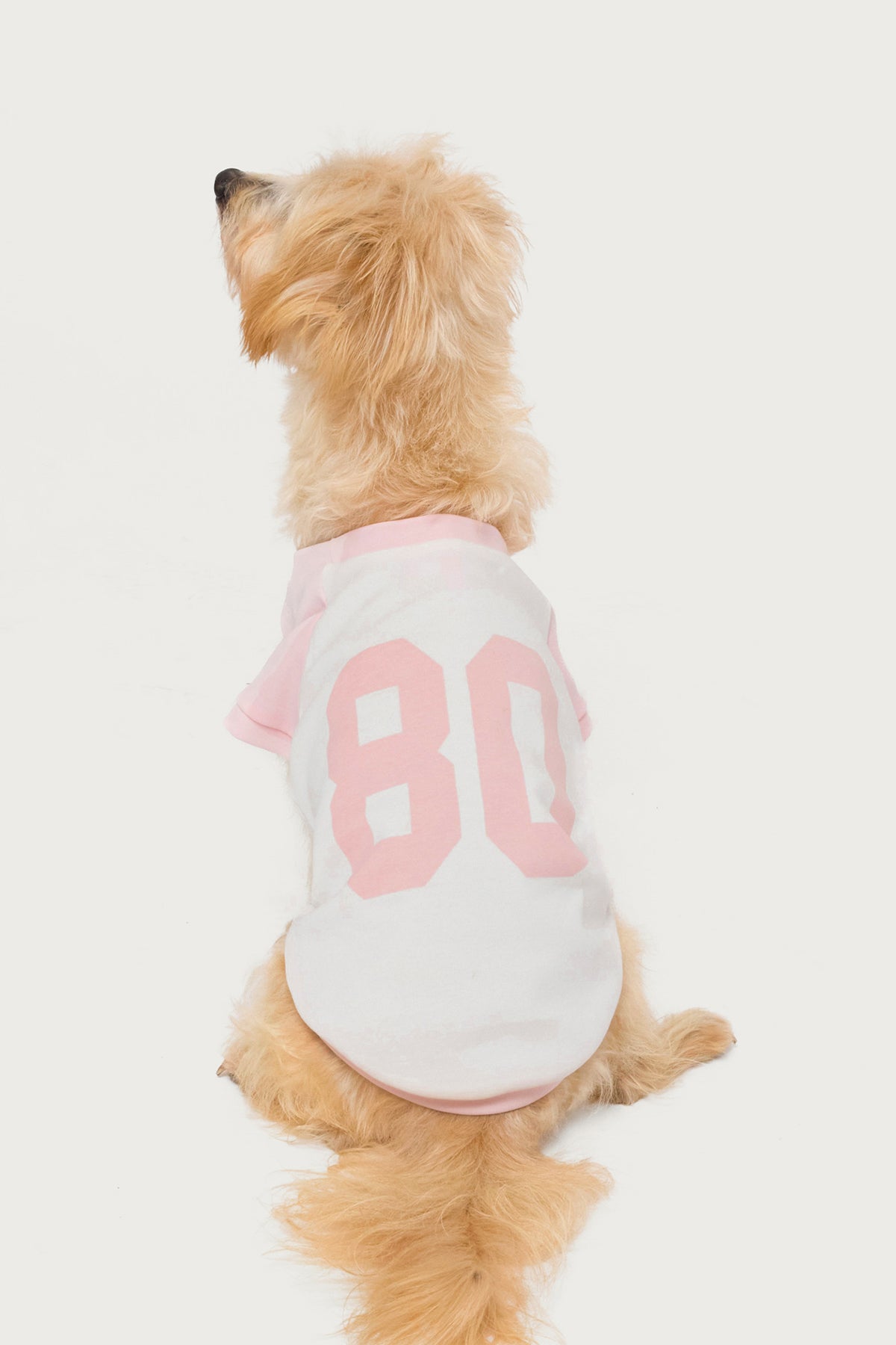 80's Raglan Pet T Shirt - Image 3