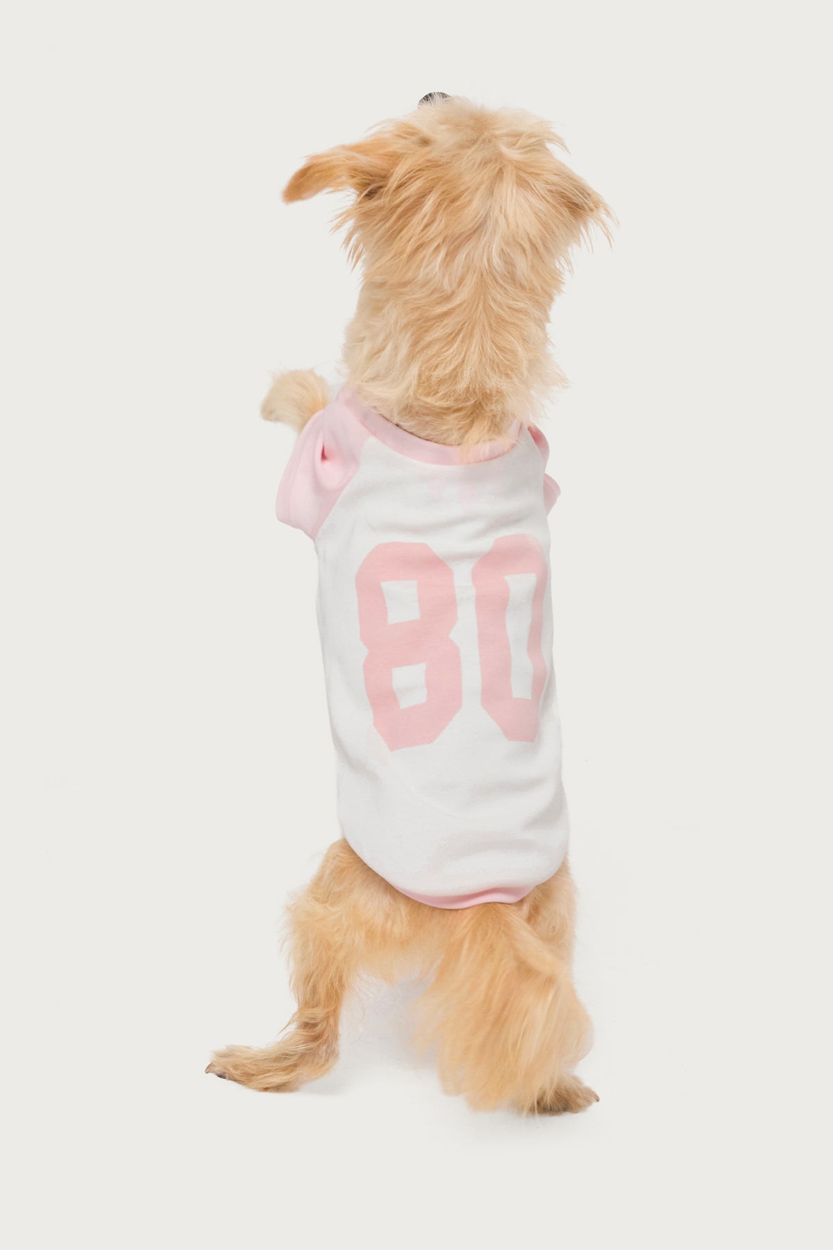80's Raglan Pet T Shirt - Image 2
