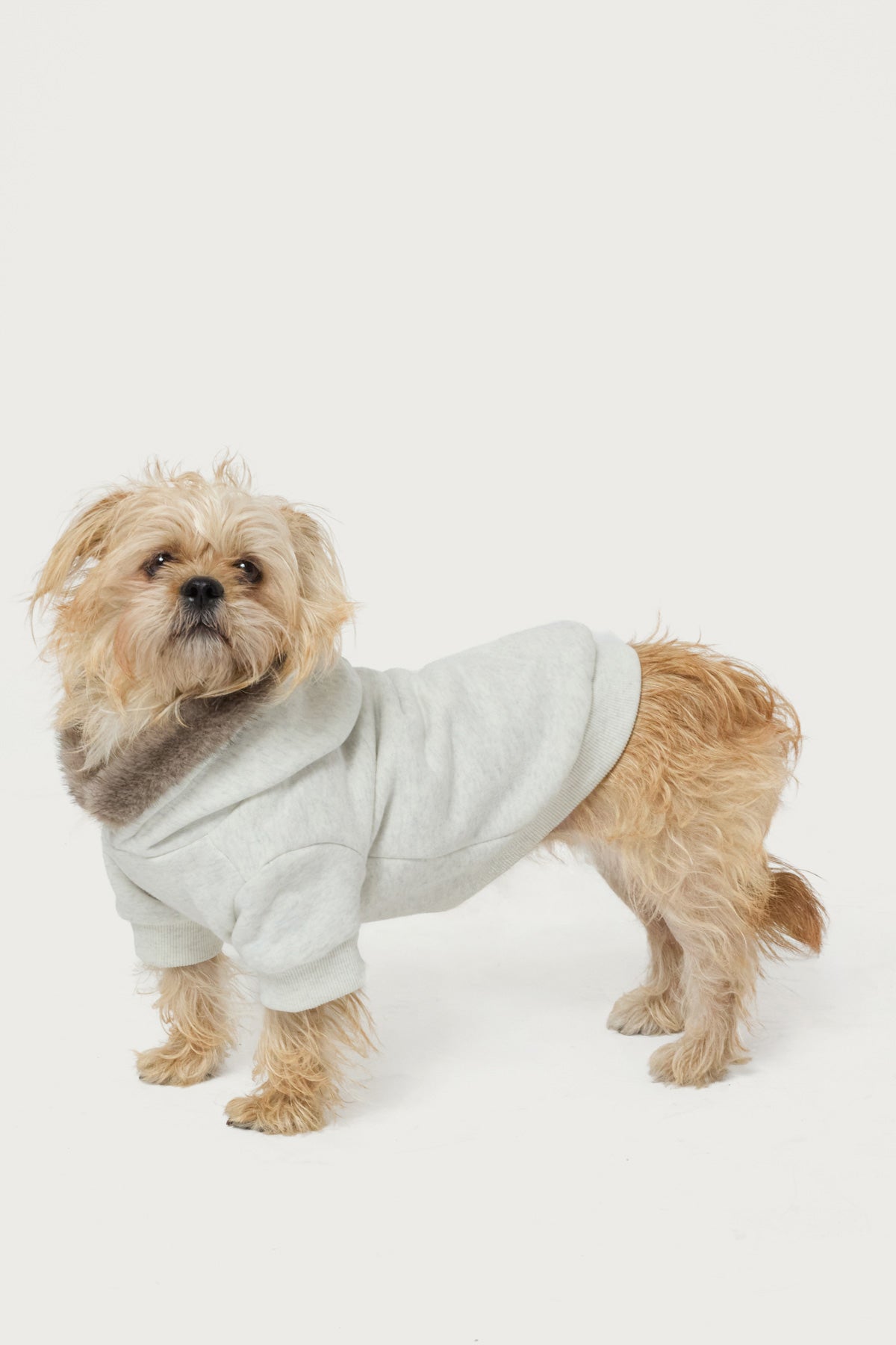 Faux Furry Pet Hoodie - Image 3
