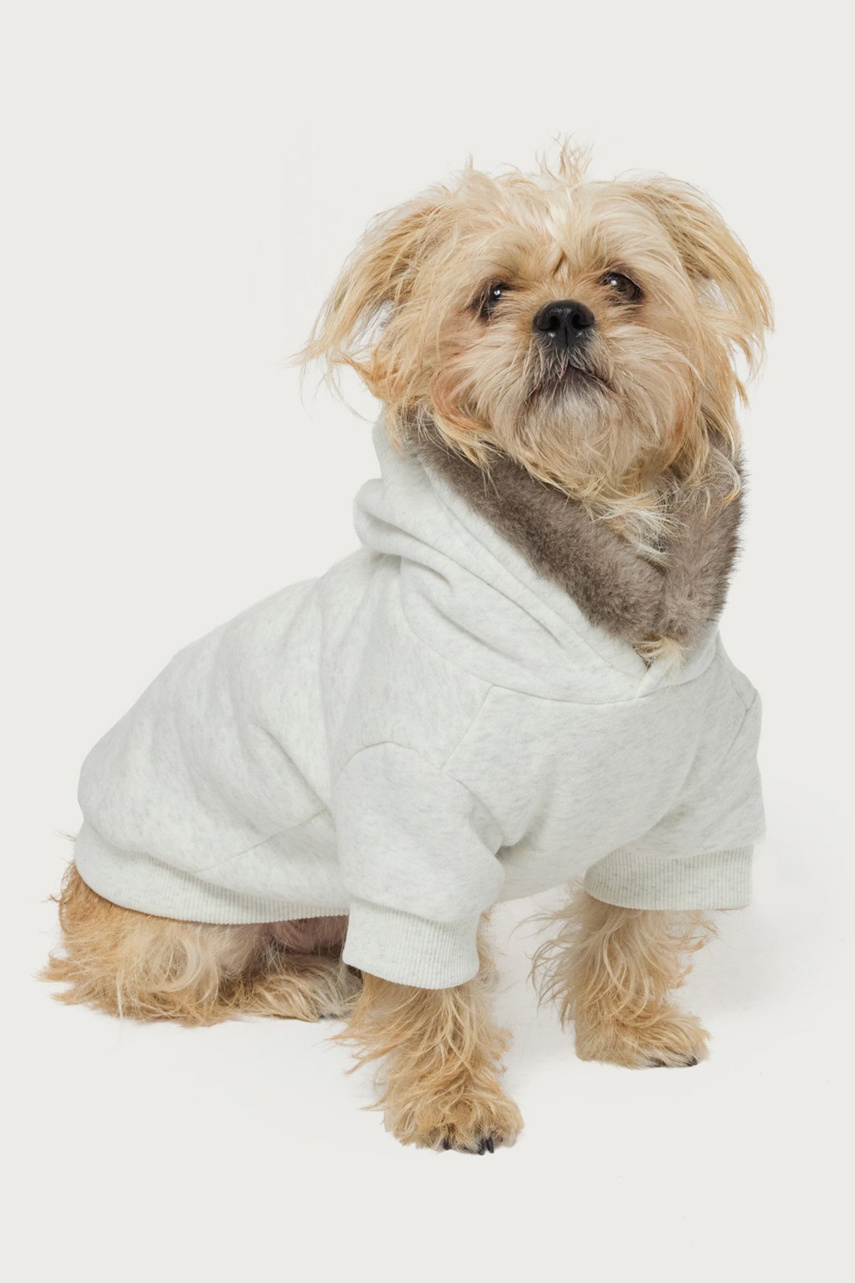 Faux Furry Pet Hoodie - Image 2