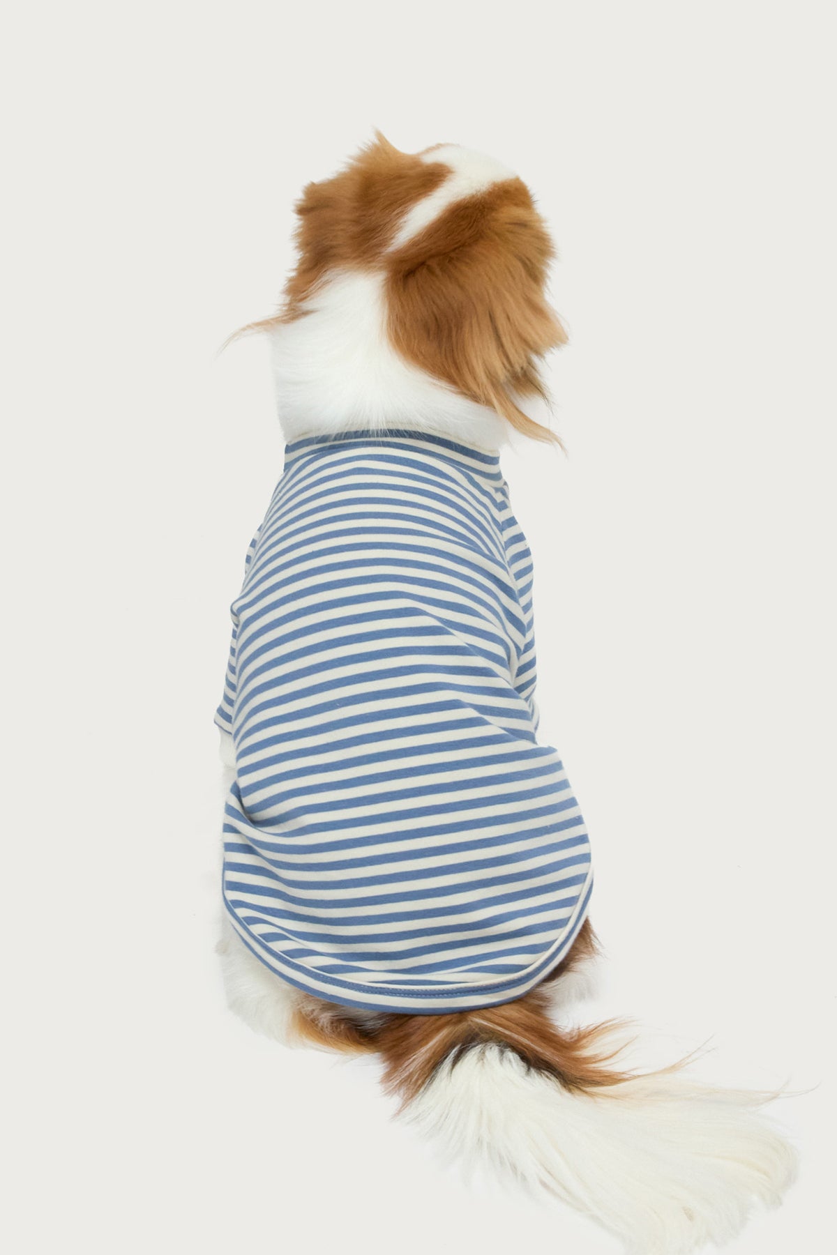 Lilah Striped Pet T Shirt - Image 3