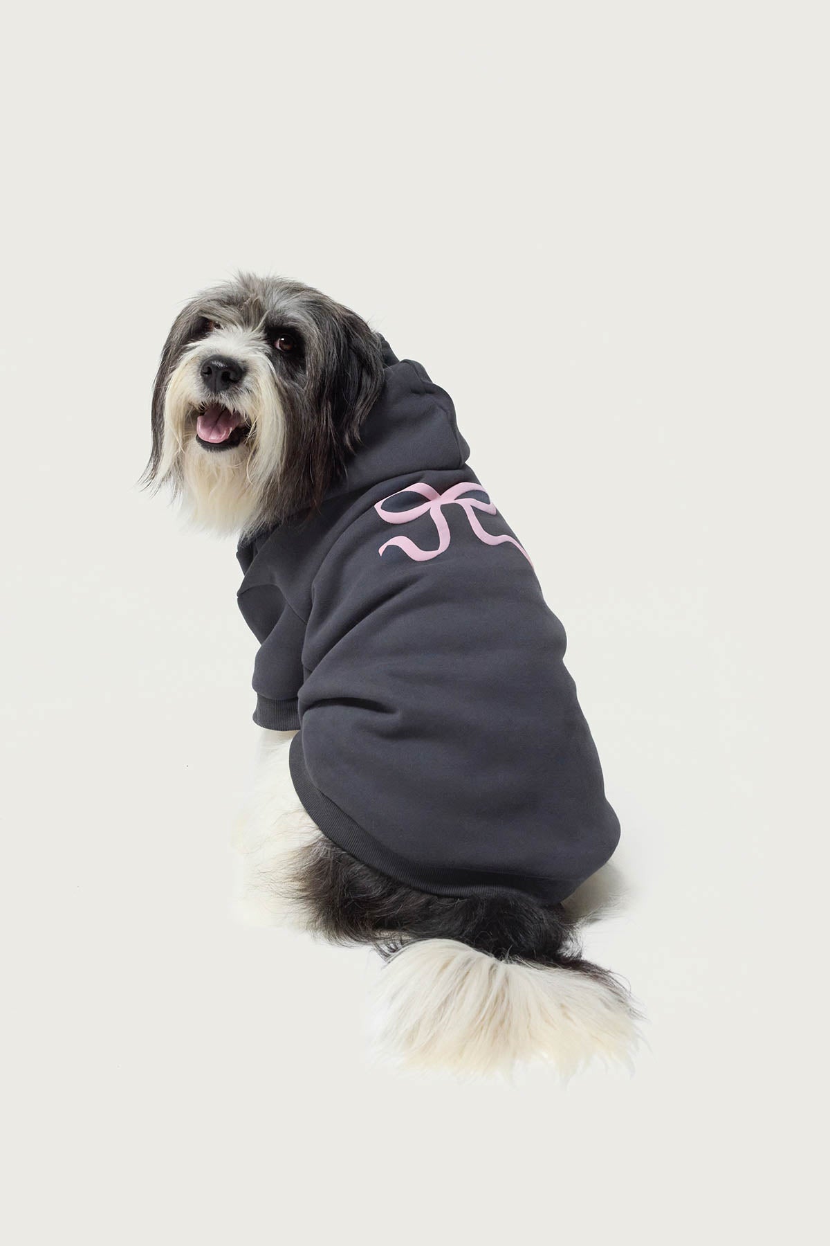 Bonney Bow Pet Hoodie - Image 2