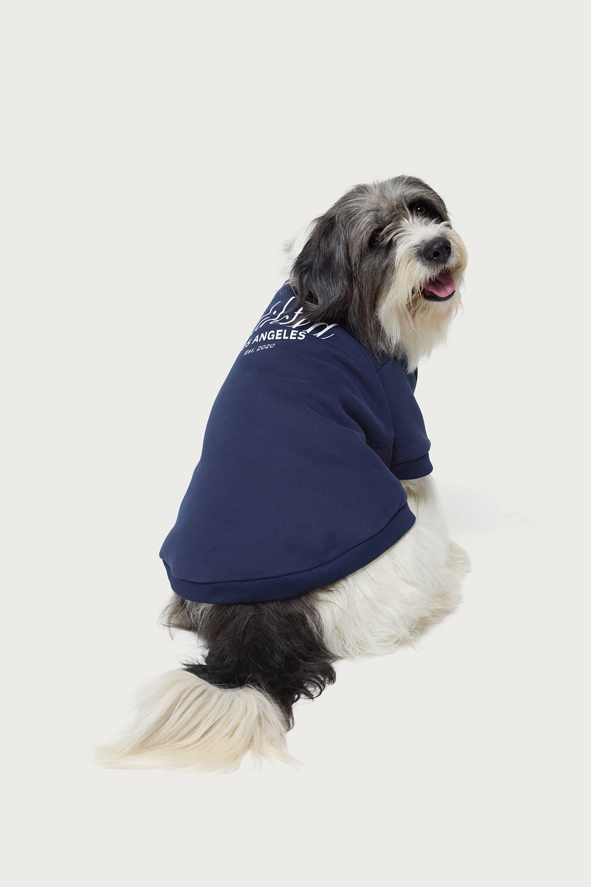Get Edikted Pet Sweatshirt - Image 3