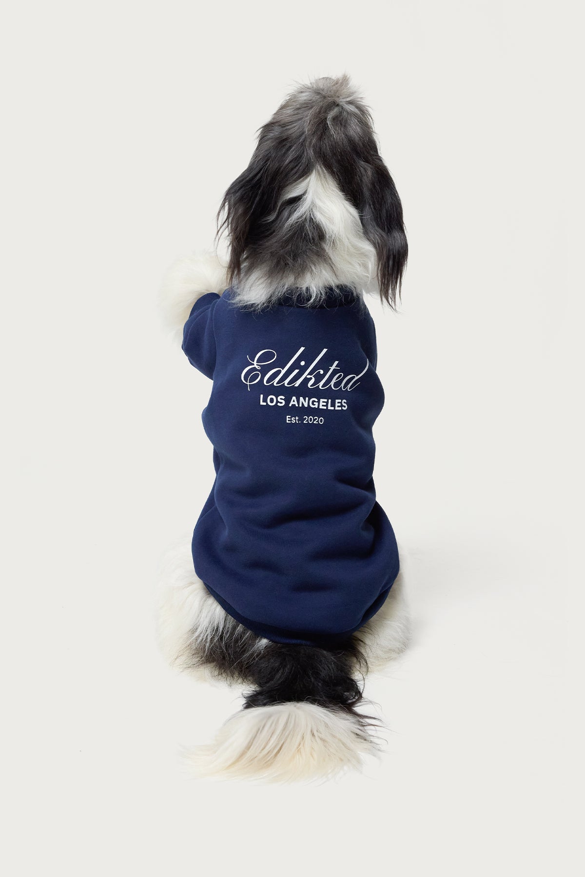 Get Edikted Pet Sweatshirt - Image 2