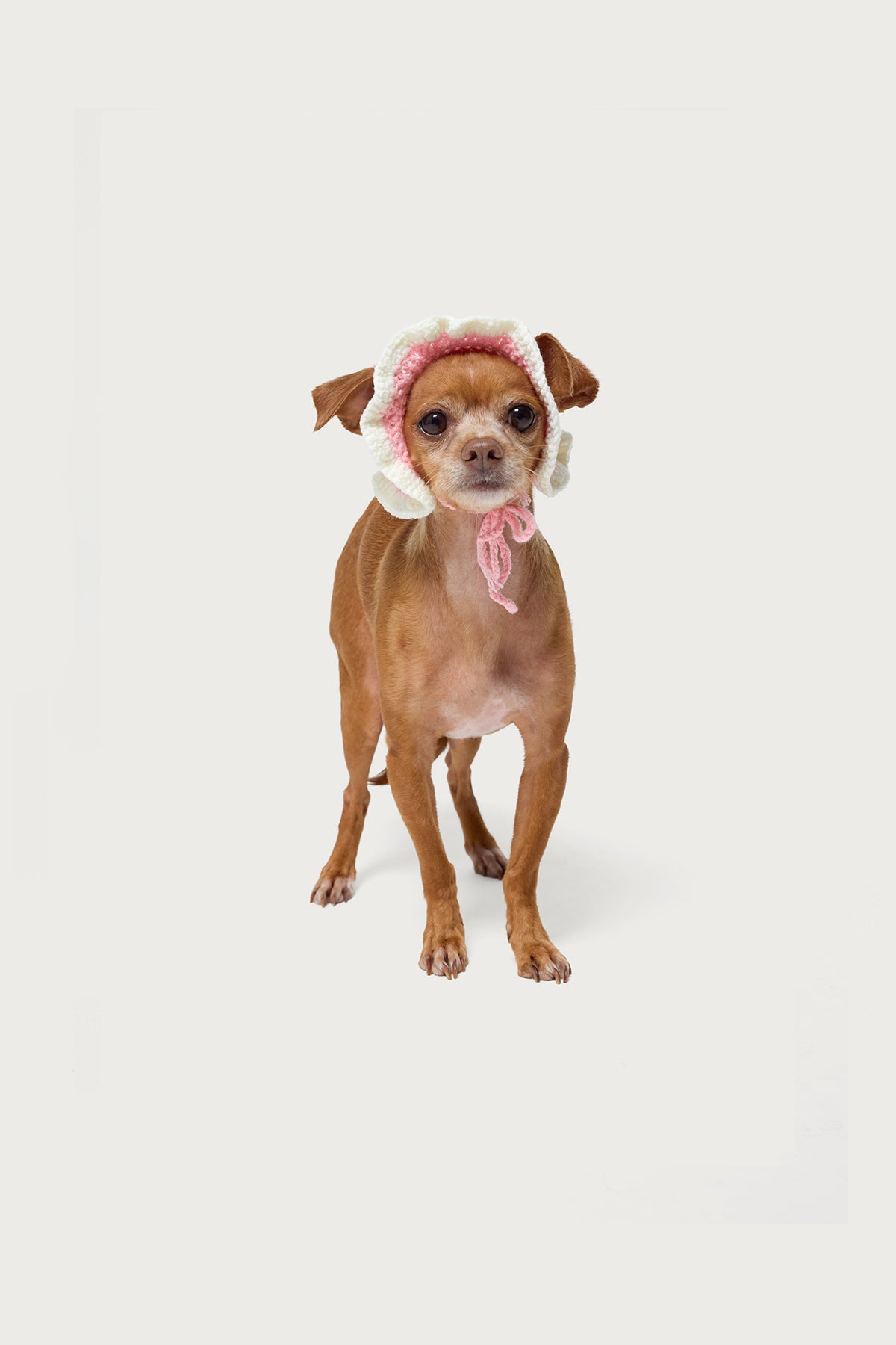 Petal Pet Crochet Hat - Image 3