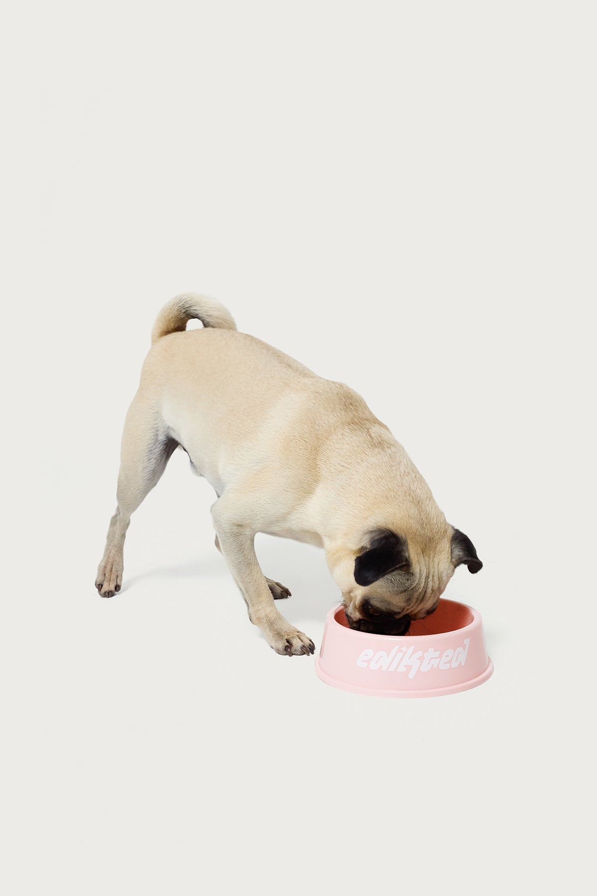 Bone Appetit Pet Bowl - Image 2